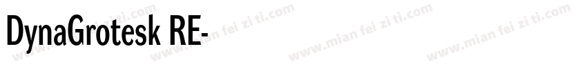 DynaGrotesk RE字体转换